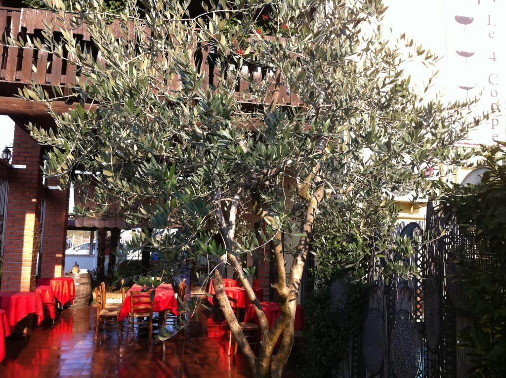 Manuela Le Quattro Coppe Hotel Desenzano del Garda Kültér fotó